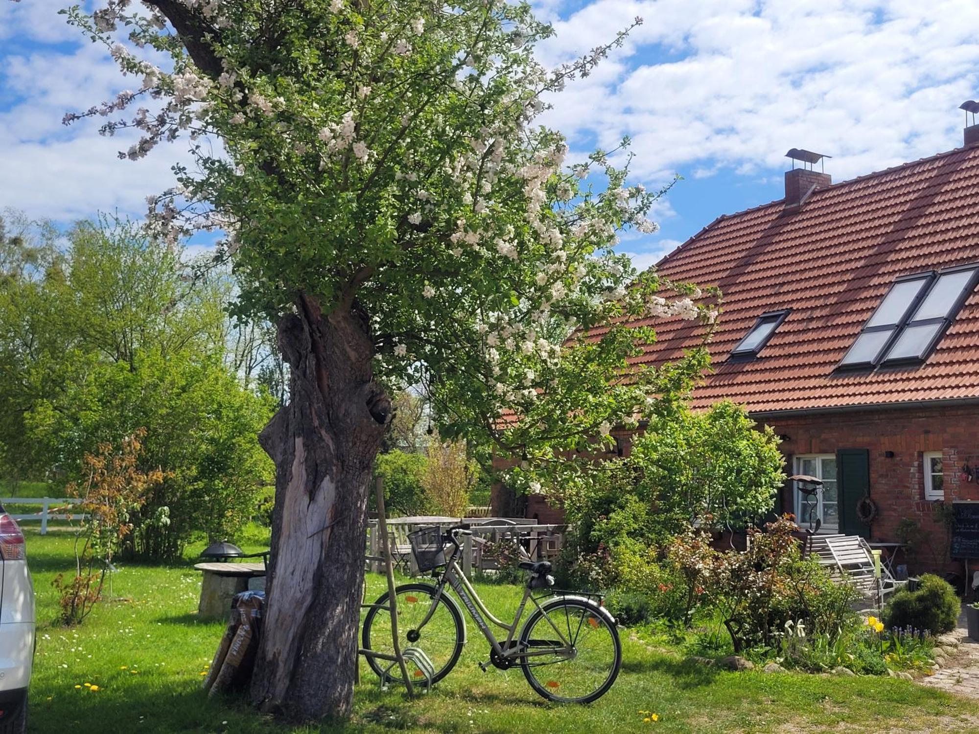 Seminar Und Landhaus Schoenbeck Schonbeck  Esterno foto