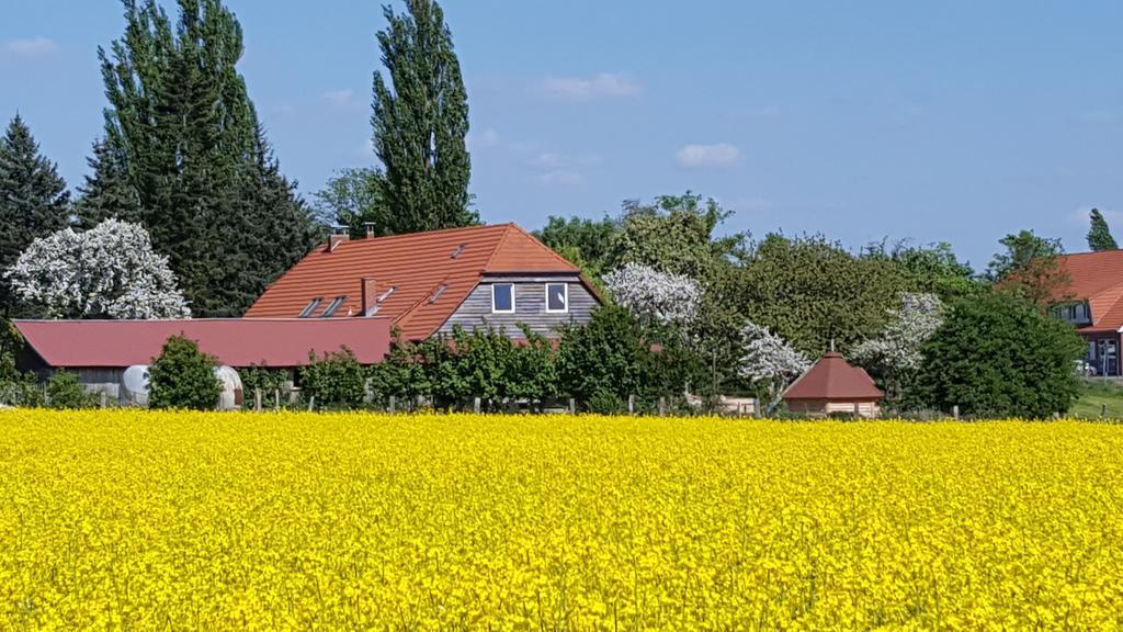 Seminar Und Landhaus Schoenbeck Schonbeck  Esterno foto
